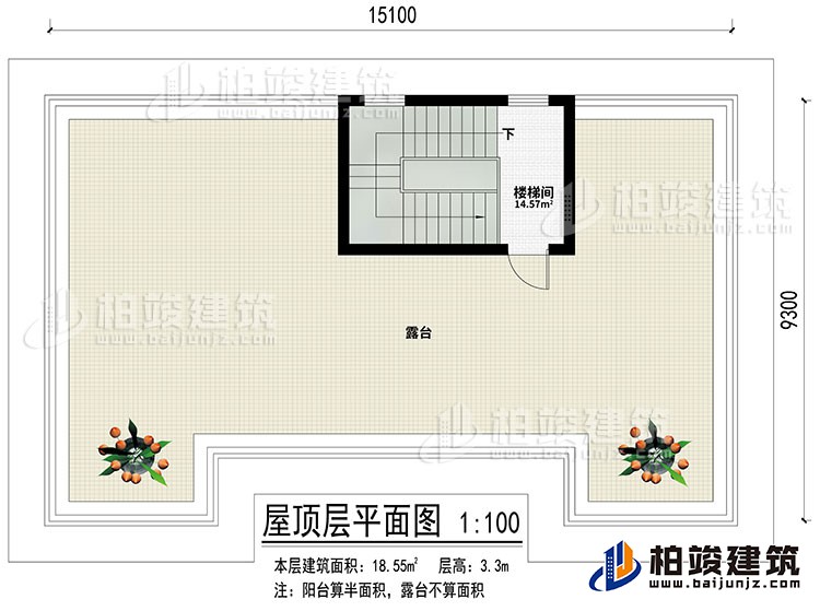 屋頂：樓梯間、露臺